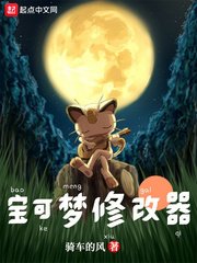 （精灵宝可梦同人）宝可梦修改器